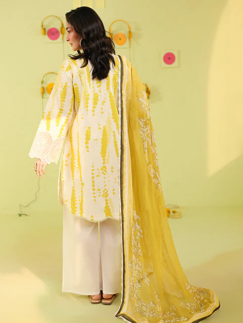 MAHNUR ANAYA SUMMER AN-2-13