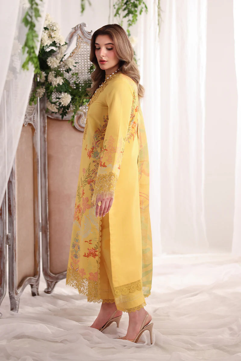 RANG RASIYA NOVA SUMMER AURORA