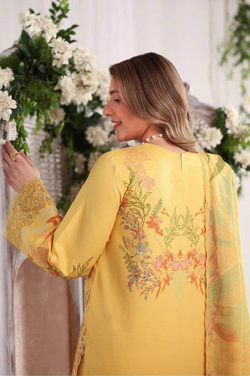 RANG RASIYA NOVA SUMMER AURORA
