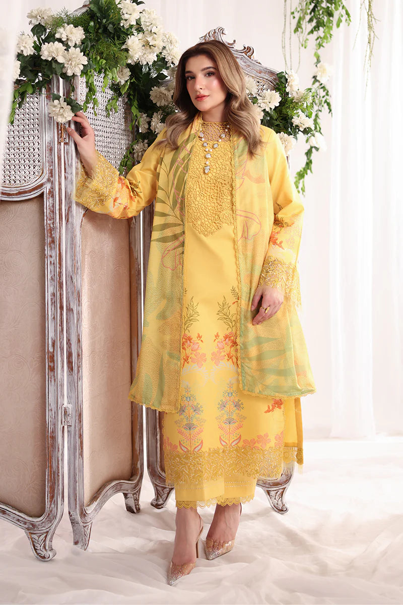 RANG RASIYA NOVA SUMMER AURORA