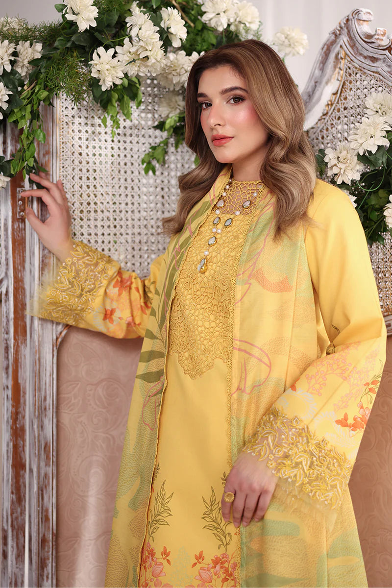 RANG RASIYA NOVA SUMMER AURORA