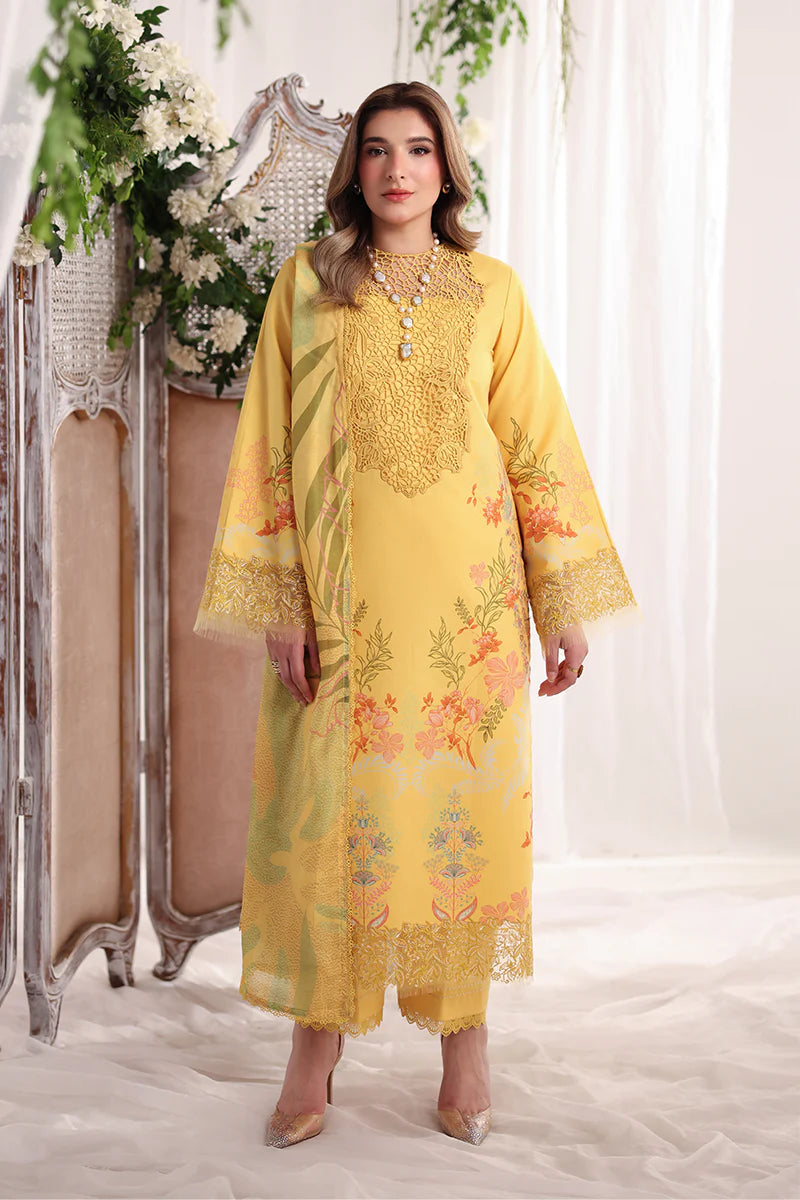 RANG RASIYA NOVA SUMMER AURORA