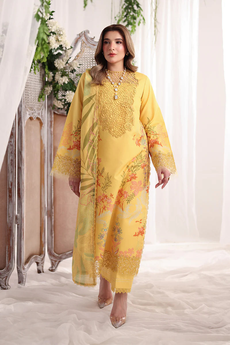 RANG RASIYA NOVA SUMMER AURORA