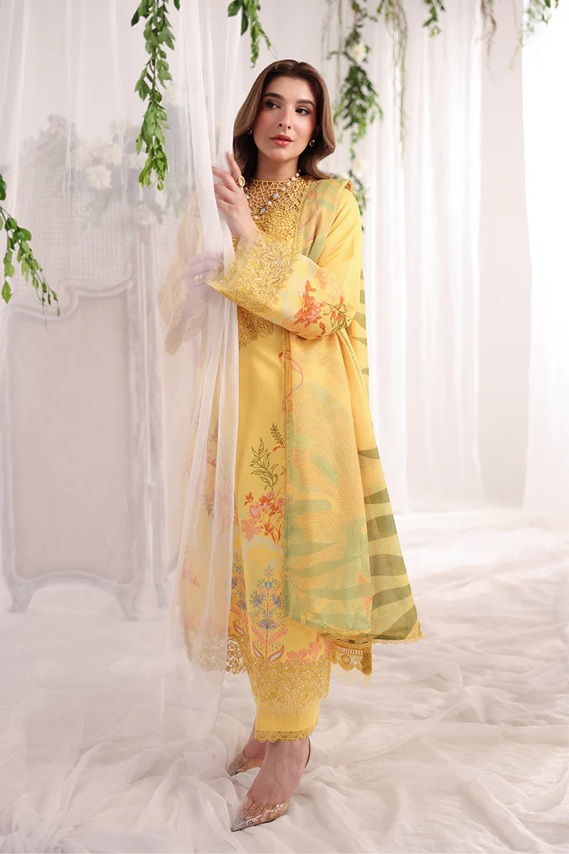 RANG RASIYA NOVA SUMMER AURORA