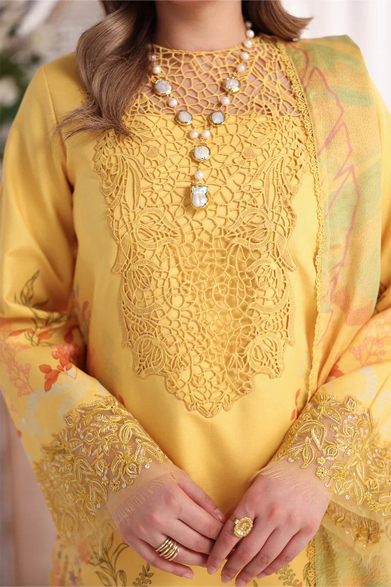 RANG RASIYA NOVA SUMMER AURORA