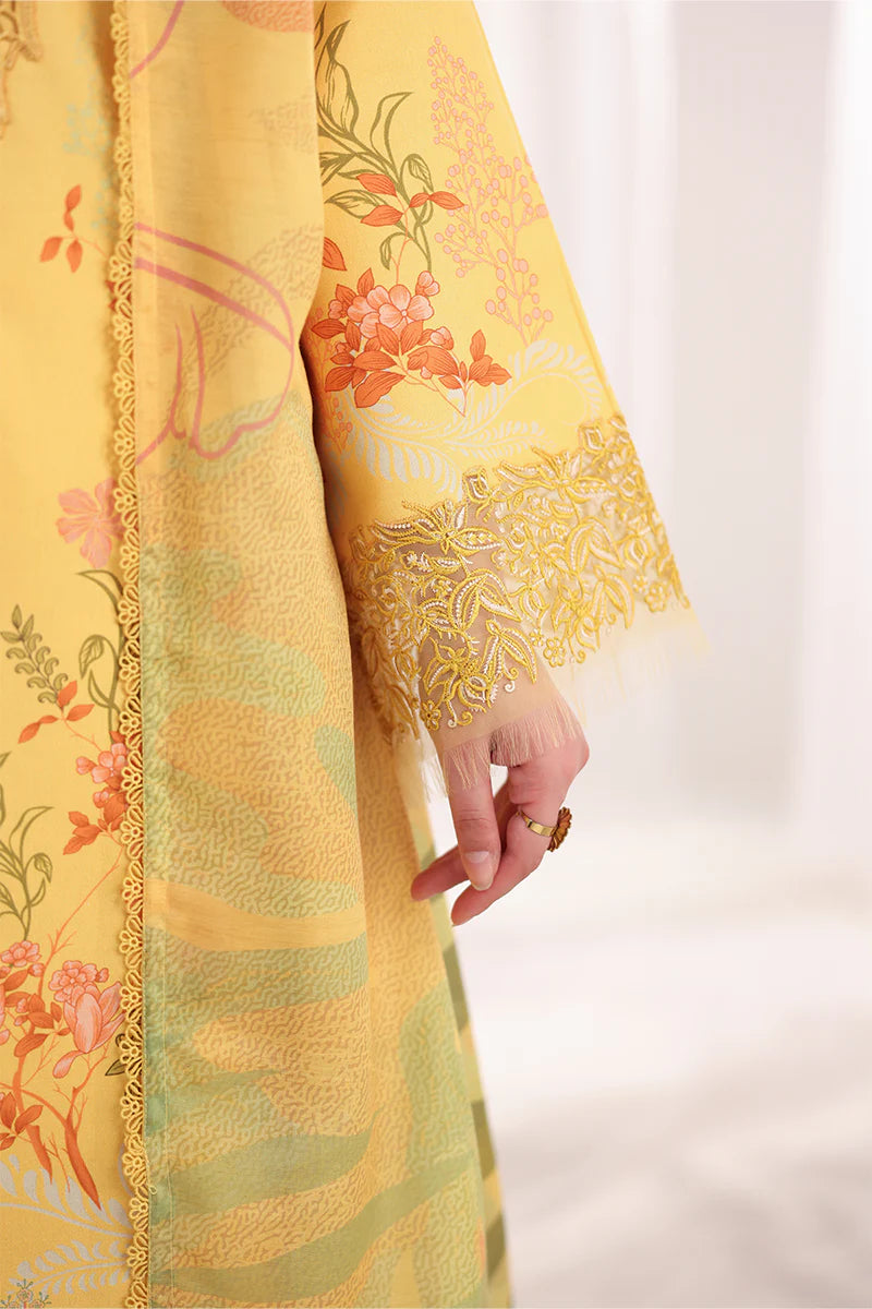 RANG RASIYA NOVA SUMMER AURORA