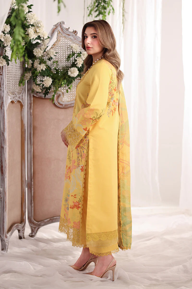 RANG RASIYA NOVA SUMMER AURORA