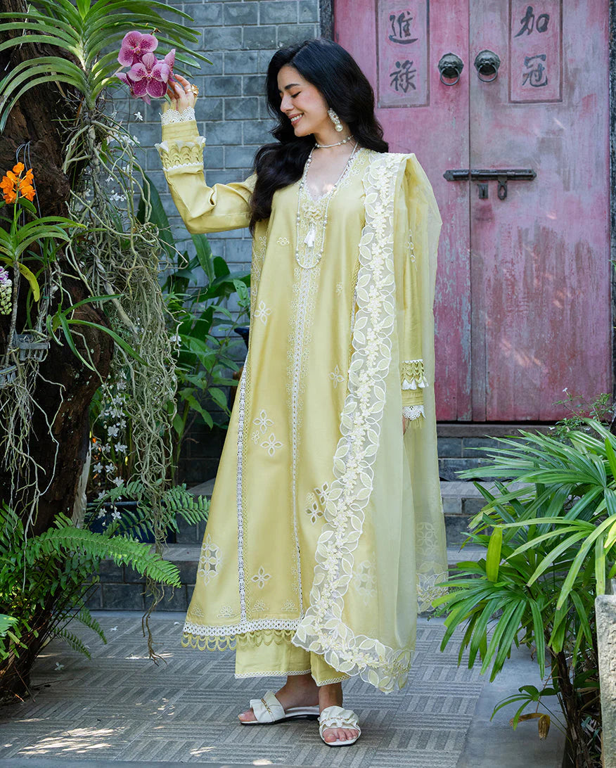 MUSHQ BELLA VIGNA 3PC