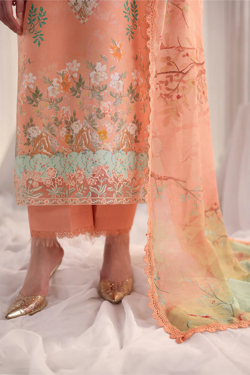RANG RASIYA NOVA SUMMER CECILIA