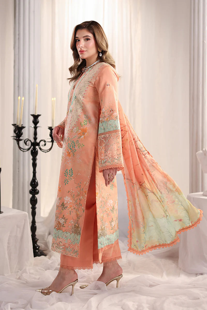 RANG RASIYA NOVA SUMMER CECILIA