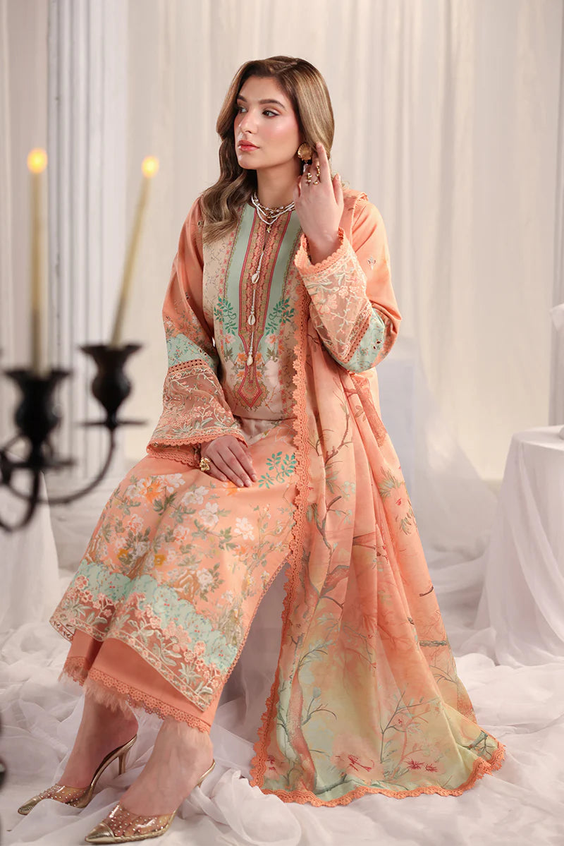 RANG RASIYA NOVA SUMMER CECILIA