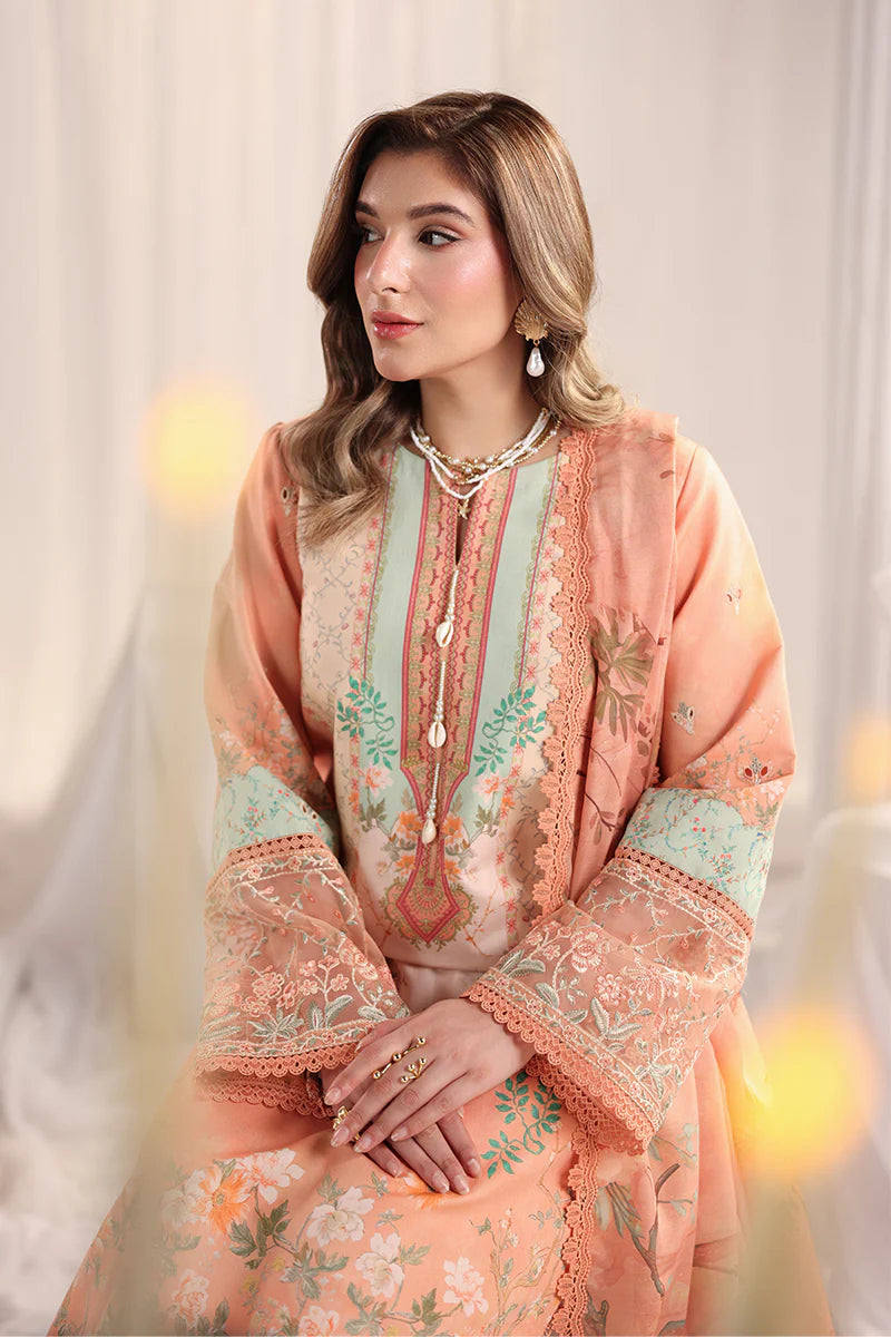 RANG RASIYA NOVA SUMMER CECILIA