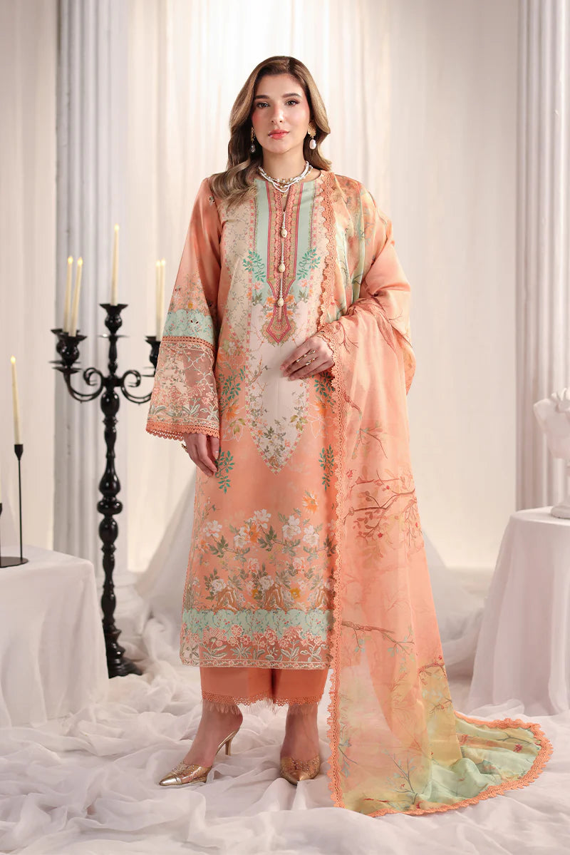 RANG RASIYA NOVA SUMMER CECILIA