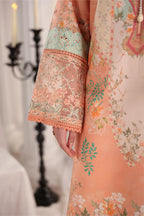 RANG RASIYA NOVA SUMMER CECILIA