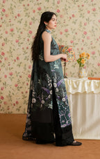 ASIFA NABEEL MERAKI MVL25-12