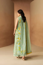 AFROZEH HAZE SUMMER LUMINA