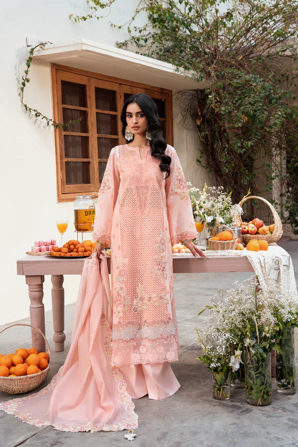 STITCHED BY CC NAQSH CHIKANKARI FESTIVE D-00194 3PC