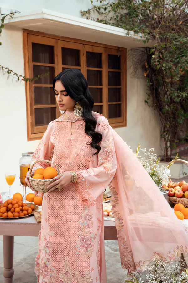 STITCHED BY CC NAQSH CHIKANKARI FESTIVE D-00194 3PC