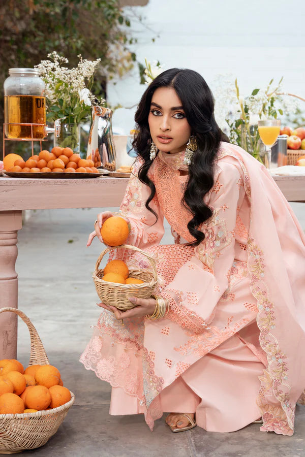 STITCHED BY CC NAQSH CHIKANKARI FESTIVE D-00194 3PC