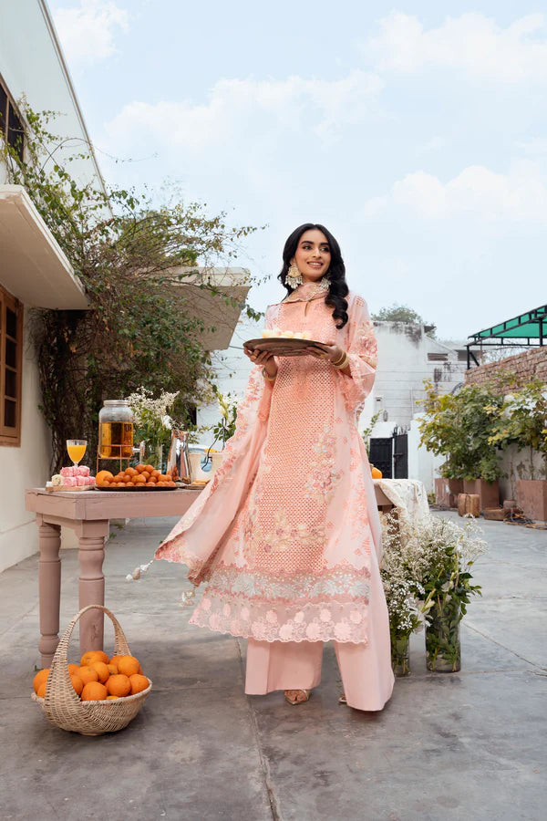 STITCHED BY CC NAQSH CHIKANKARI FESTIVE D-00194 3PC