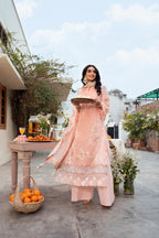 STITCHED BY CC NAQSH CHIKANKARI FESTIVE D-00194 3PC