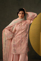 MOHID SHAHZAD ELARA 3PC