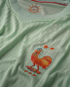 Jersey France Away