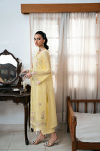STITCHED BY CC D-00199 NAQSH 3PC