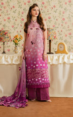 ASIFA NABEEL MERAKI MVL25-11