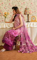 ASIFA NABEEL MERAKI MVL25-11