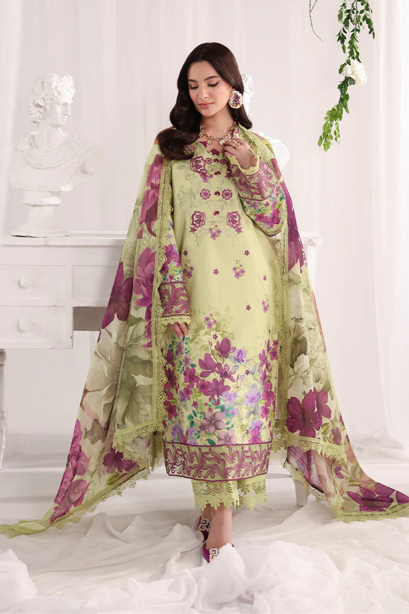 RANG RASIYA NOVA SUMMER ELENA