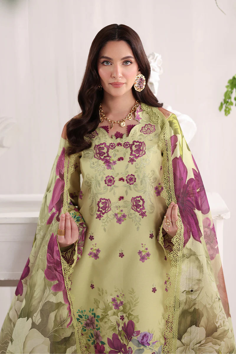 RANG RASIYA NOVA SUMMER ELENA