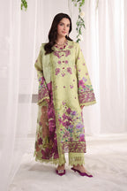 RANG RASIYA NOVA SUMMER ELENA