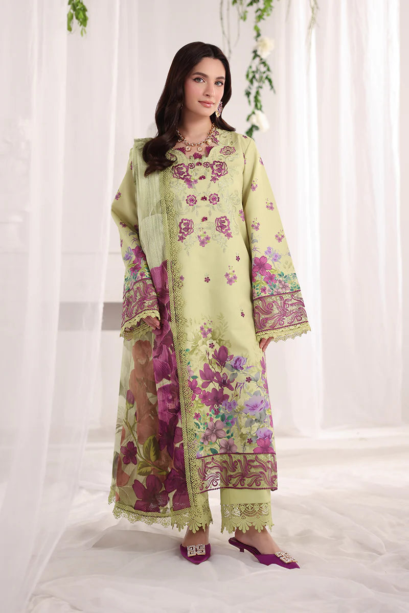 RANG RASIYA NOVA SUMMER ELENA