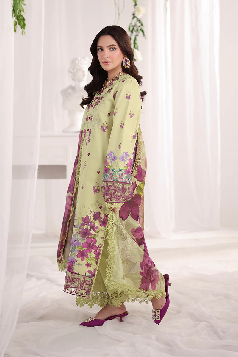 RANG RASIYA NOVA SUMMER ELENA