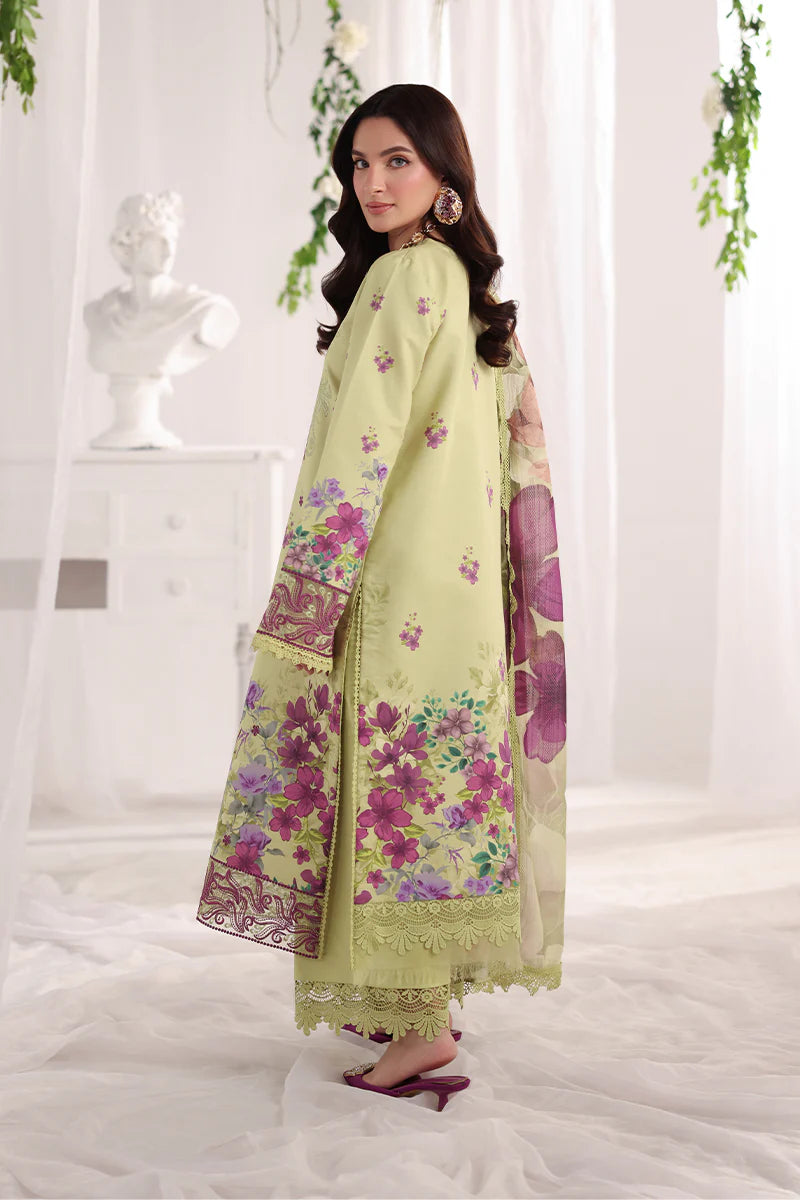 RANG RASIYA NOVA SUMMER ELENA
