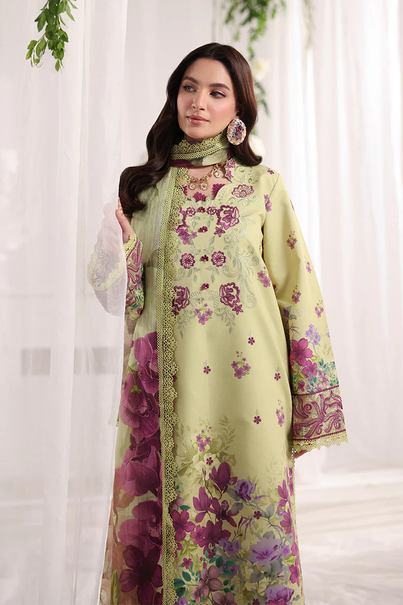 RANG RASIYA NOVA SUMMER ELENA