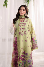 RANG RASIYA NOVA SUMMER ELENA