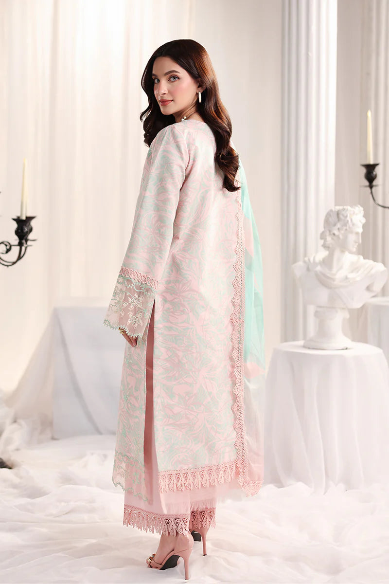 RANG RASIYA NOVA SUMMER EMILIA