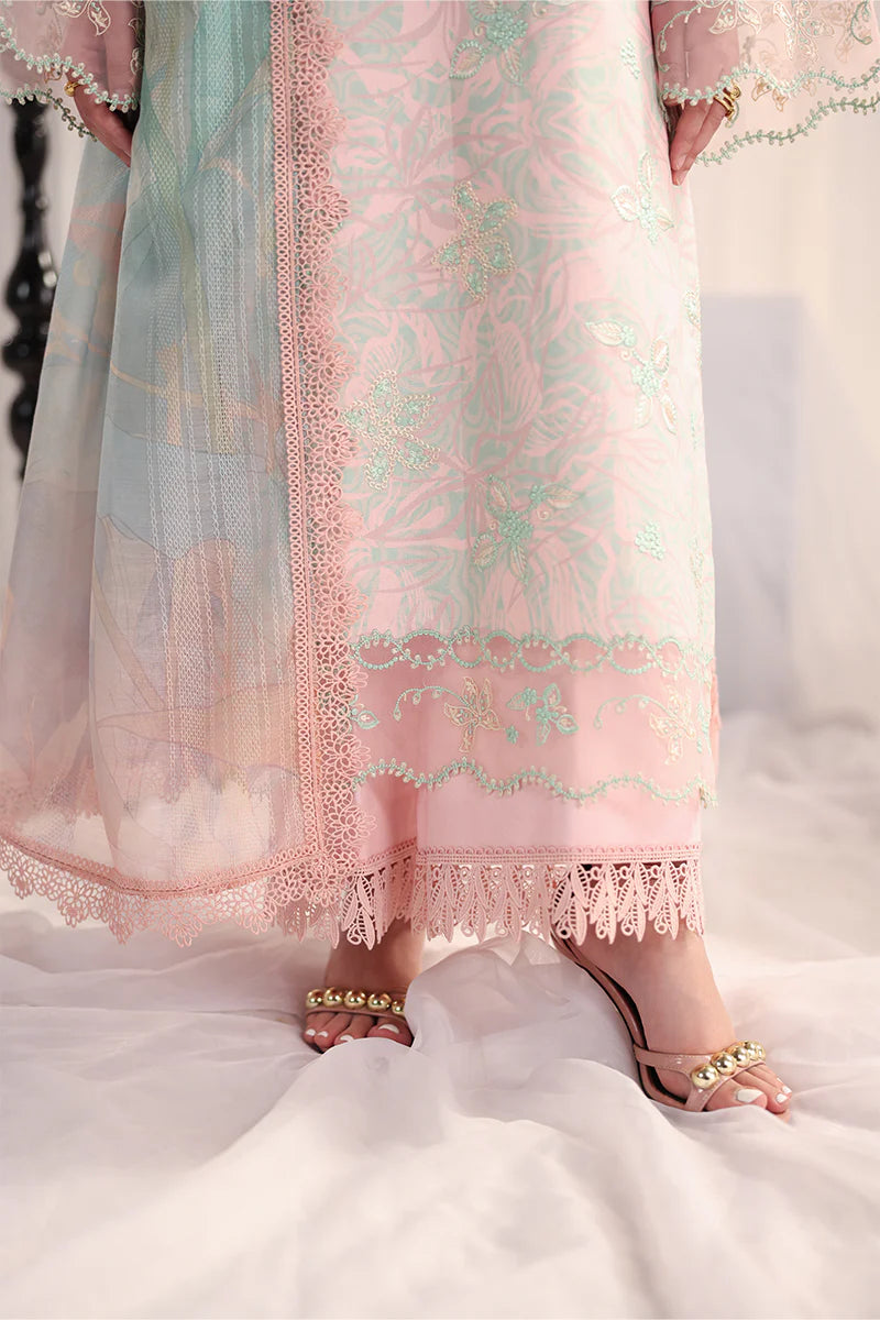 RANG RASIYA NOVA SUMMER EMILIA