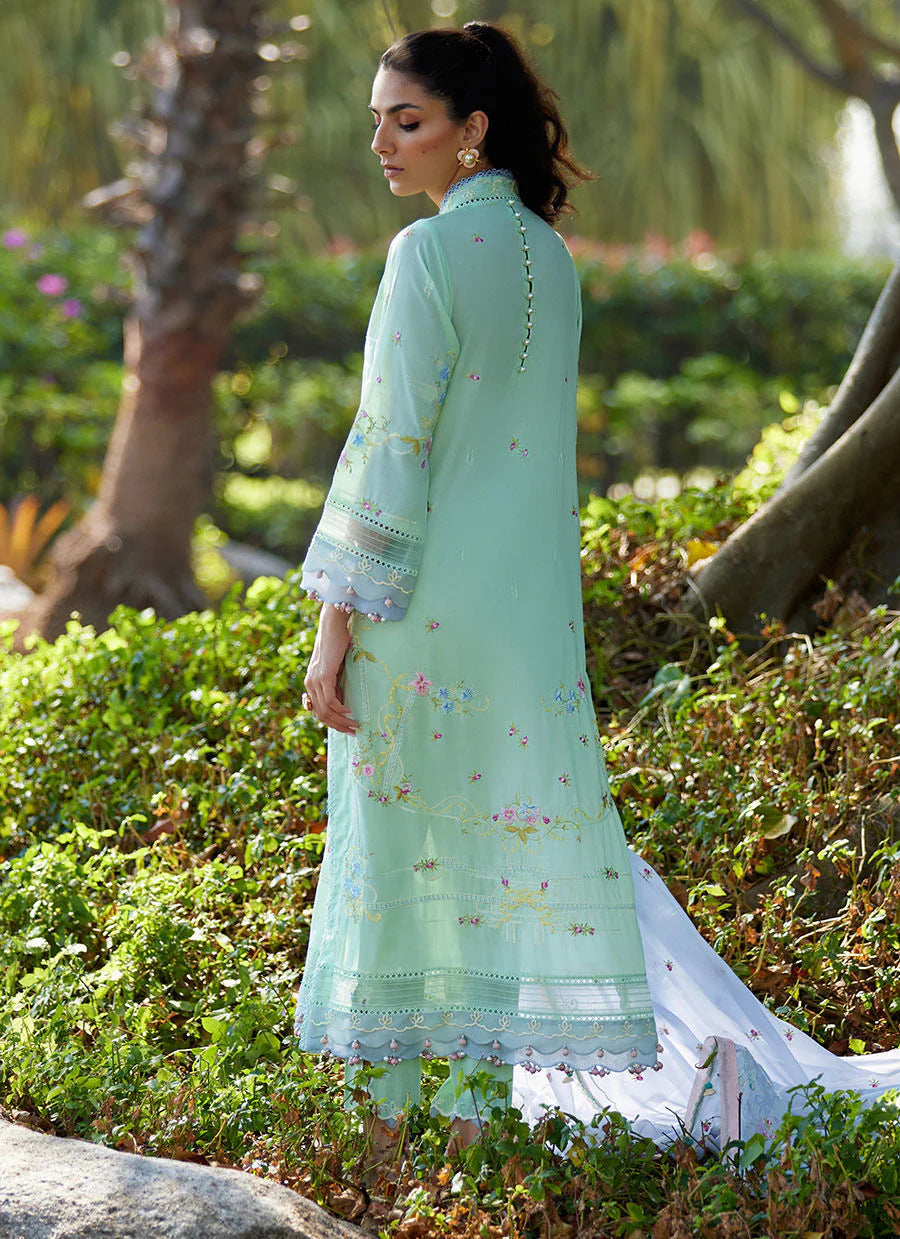 FTA-11 FARAH TALIB