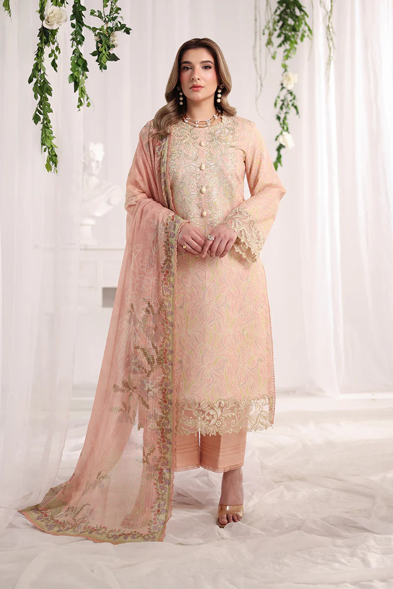 RANG RASIYA NOVA SUMMER GABRIELLA