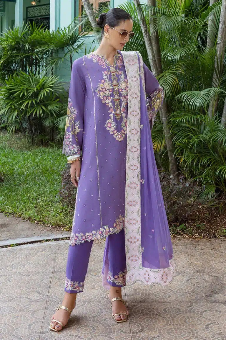 MUSHQ NUVERA D-01