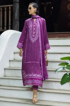 MUSHQ NUVERA D-06