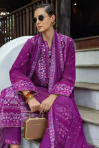 MUSHQ NUVERA D-06
