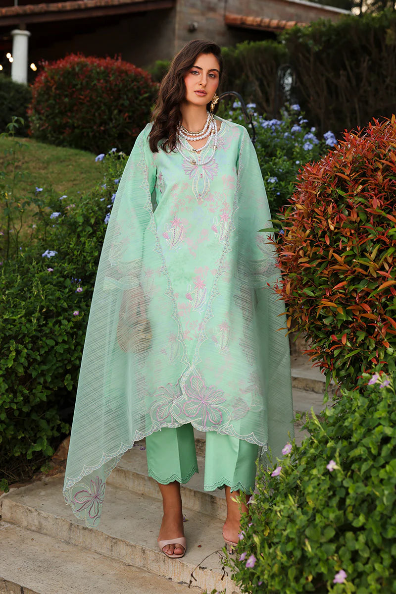 RANG RASIYA FLORENCE SUMMER HANIYA