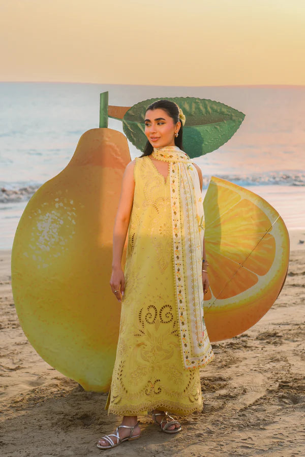 ZAIB SUMMER NEL-26607