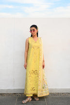 ZAIB SUMMER NEL-26607