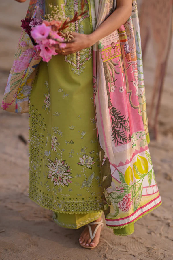 ZAIB SUMMER NEL-26608