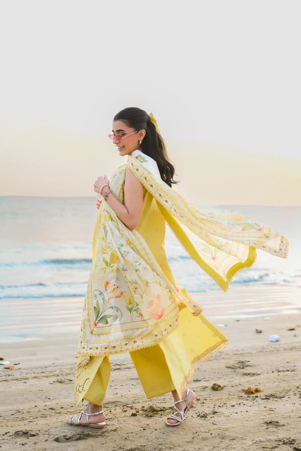 ZAIB SUMMER NEL-26607